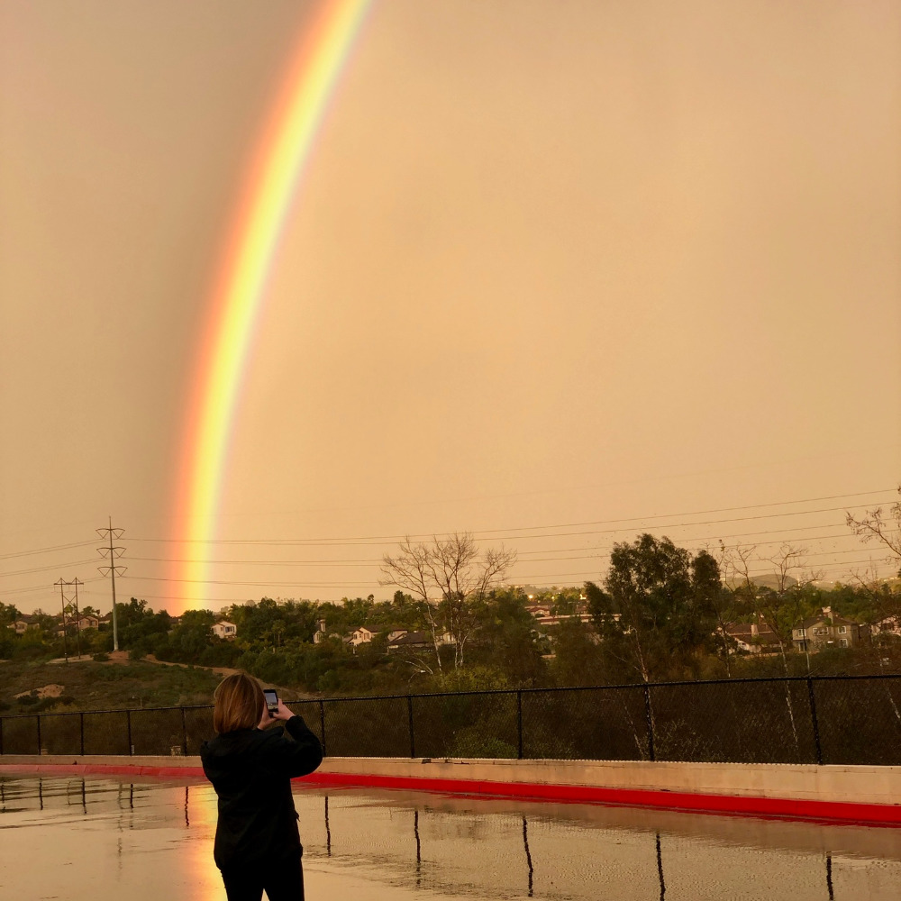 Meet your Posher, Guinevere